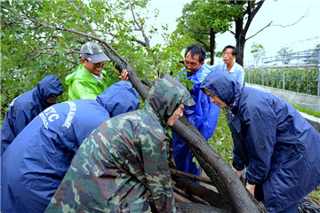 致公党中央调研组到横琴新区调研 广东自贸区