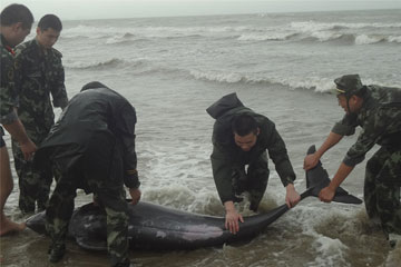 170手机号被曝通讯不畅问题 运营商:部分问题