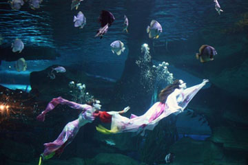 我是歌手第二季总决赛歌单曝光 邓紫棋吼到底