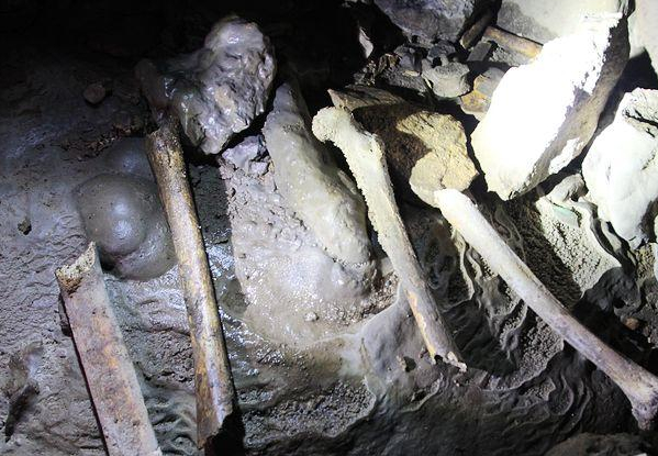 19岁女子介绍卖淫女在高档酒店交易 获利超20