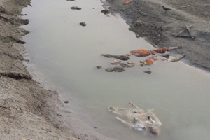 印度北方邦恒河现100多具尸体 部分遗体河中腐烂