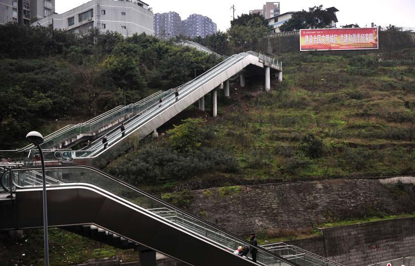 广州大学城现大量僵尸车 校方忧愁