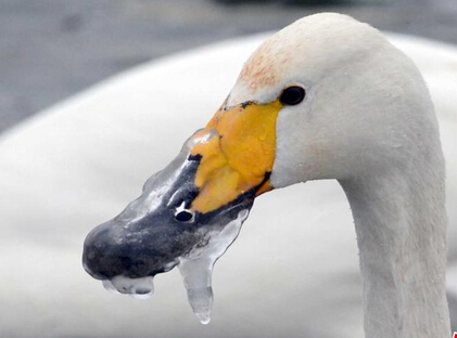 调查:30%左右宅男只能在游戏间隙撸管子 IT即