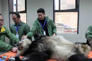 涉嫌无资质办学 尚德机构的三重疑云 _培训界