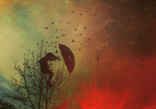 中央巡视组处理问题流程:可直接向习近平汇报