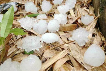 硕士生开代写毕业论文网站为哪般