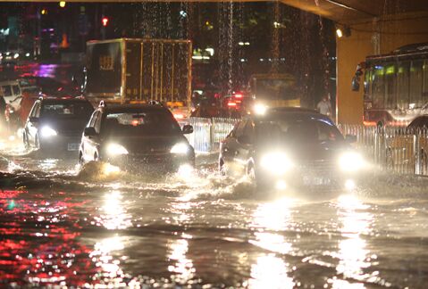 张继科扒地动作走红 网友:豁得出去想不火都不