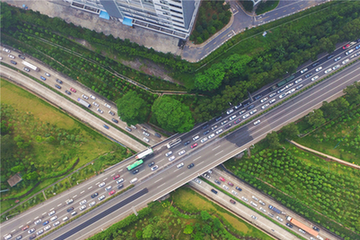 浙江三门审计局局长酒驾撞死人后逃逸 下车看