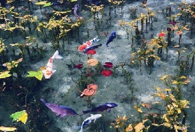  日本梦幻池塘 :梦幻空灵、美妙诗意、恬淡幽静