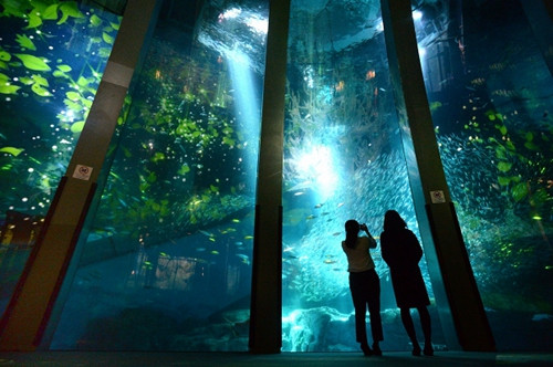 超梦幻:日本打造海底冰雪世界 多彩光影炫目