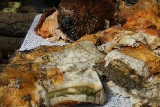  农民获140斤太岁 (组图):开价1斤几千元也嫌少