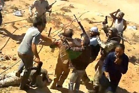 陪读家长在美国种菜:竟被耶鲁大学视为文化创造(组图)_国际新闻_南方网