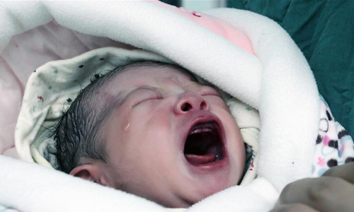 周小川:金融改革要补课 推进政策性银行改革