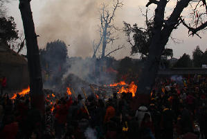  古树疑被香火烤死 (组图) 现场图:浓烟滚滚、香