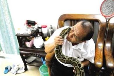 老人蟒蛇同住7年(组图):很听话、很温柔,还会帮