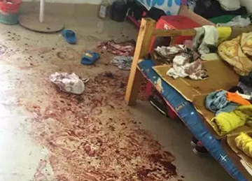 吃海带必知三大禁忌 三招识别化学加工海带