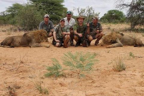 男子晒非洲打猎照(组图):狮子、斑马、羚羊都是