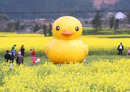 印度一列火车出轨至少15人遇难 逾40人受伤