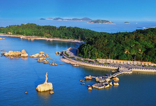 深圳国税开展第一场营改增企业纳税人培训