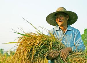 http:\/\/ent.southcn.com\/public\/kb\/