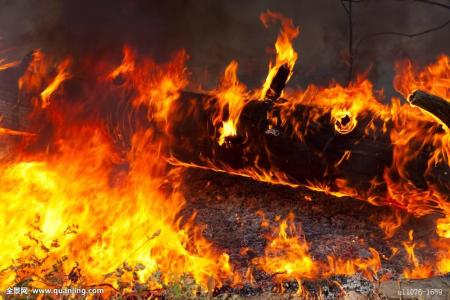 http:\/\/www.southcn.com\/public\/kb\/