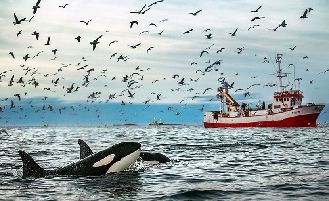 误打黑的遭遇假钱假发票_第GC04版:广州观察