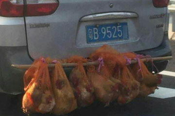 跳槽断缴社保将失购房资格_第GC05版:广州观